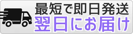即日発送