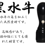se01-b